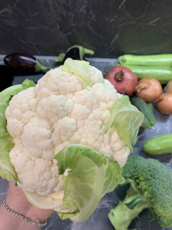 ��� ������� ������ �� ������� ������: 7 ��������� ��� ������������