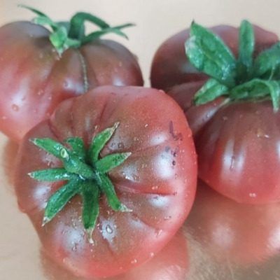 ����� ����� 29: ������ ������, ������� ������ ����� ������