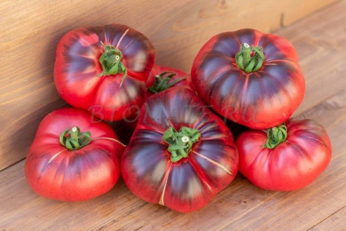 ����� ������ ��������: ������ ������ � ����������� ����� � ����� �������