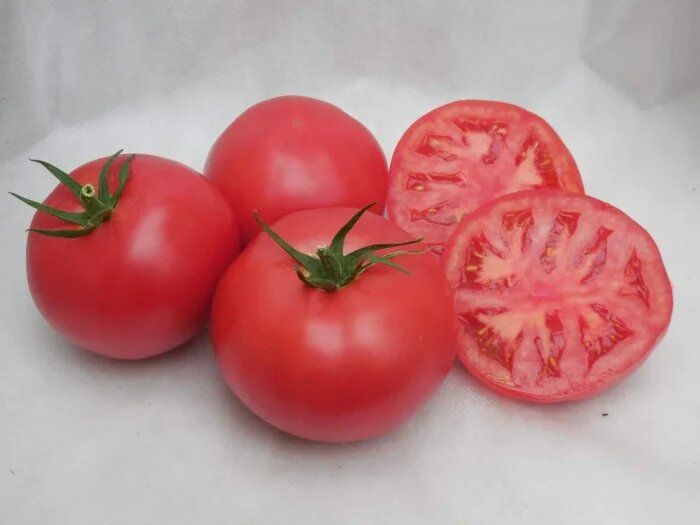 ����� �����: ������� ��������� ����������� ������������� � ������ ���������