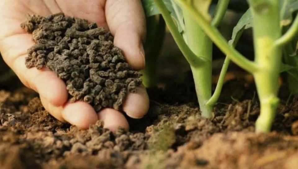 ��� ����������� ����� � �������� ������: ������� ������������ ��������� � ������� �����