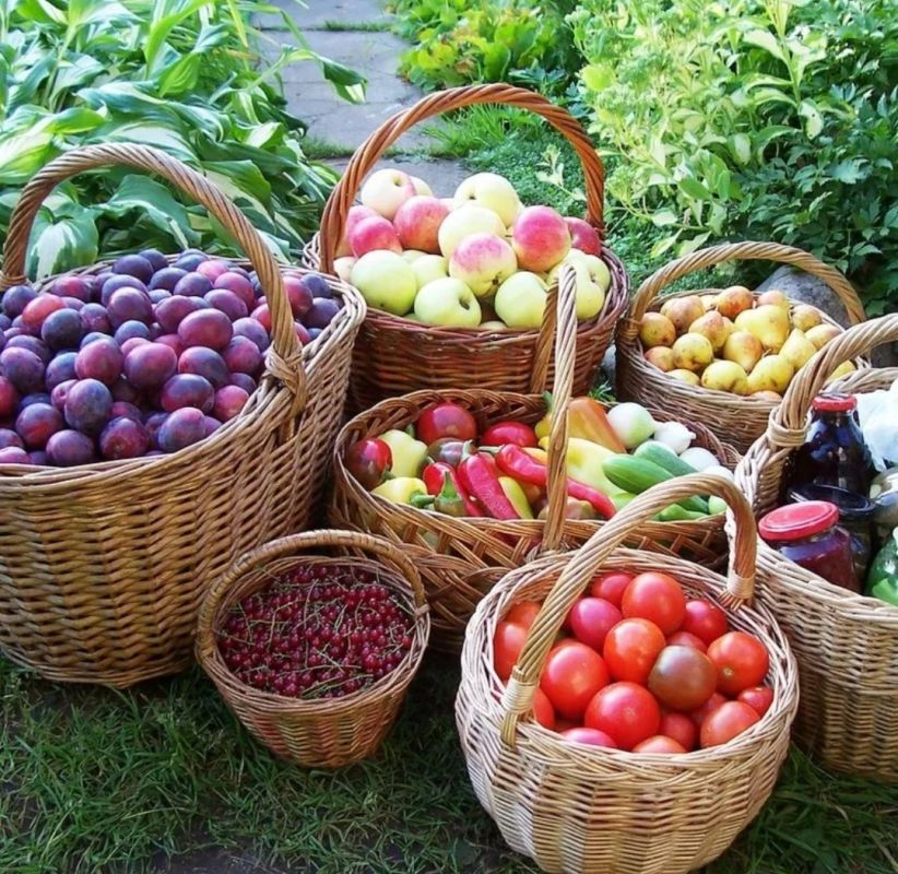 ������ � ����: ������� ��������� �������� ������ �� ��������