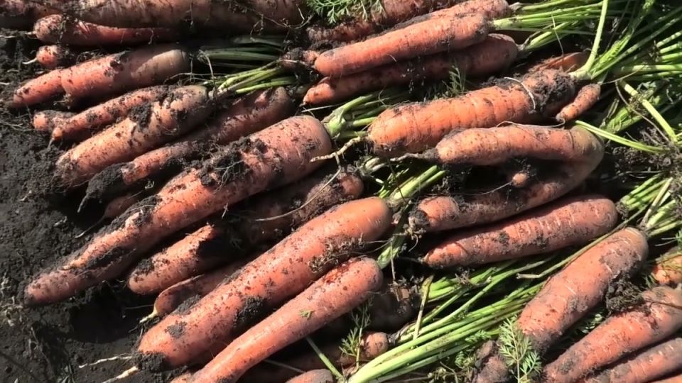 ������ �� ������ ������ ������� �� ���������� � ��������