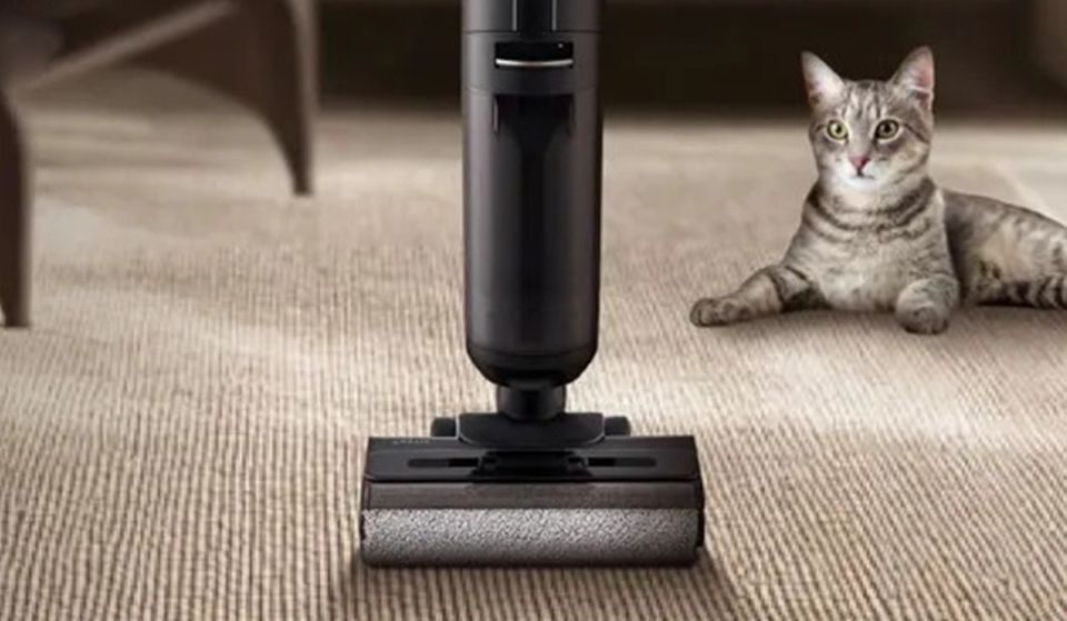 ������ �������: �������� �������� ��� �������� �������?