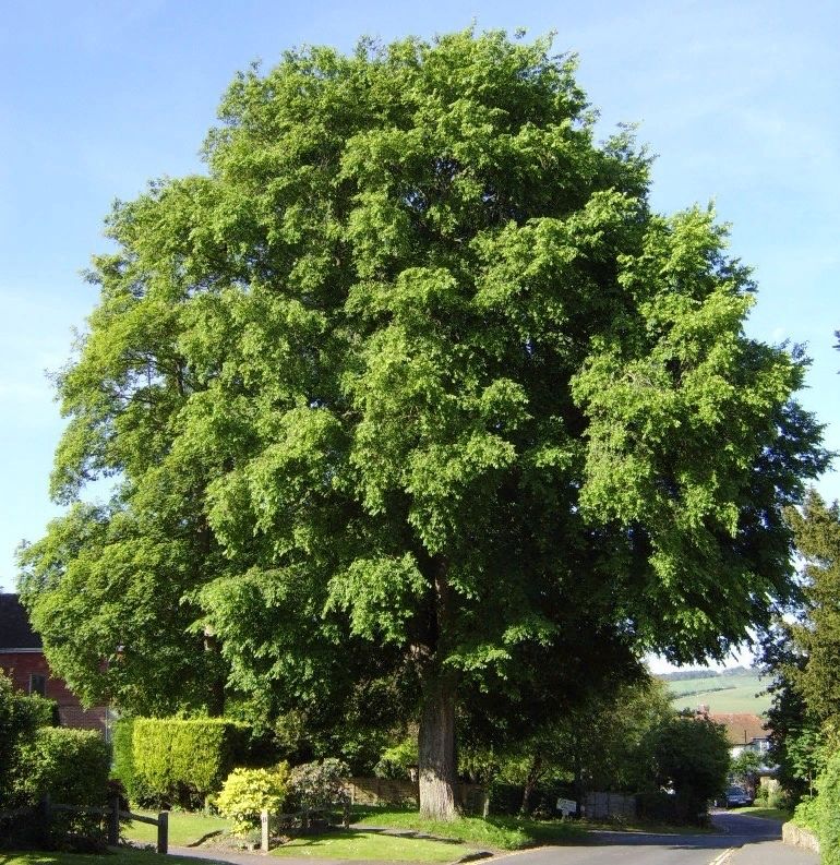 ���: ����� � ������� ������ �������� ������