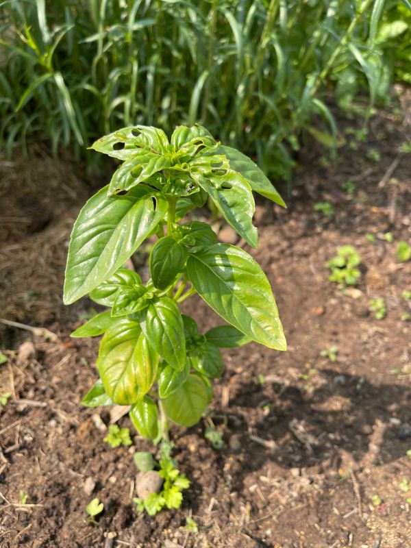 ����� �� �������: ��� �������� ��������� ������ �� �������� ������