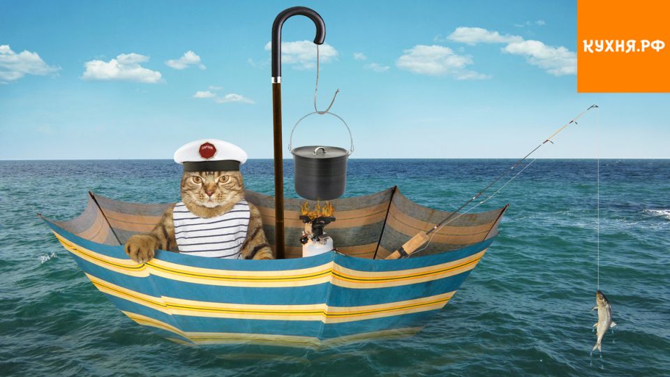 ��� ����������� � ����� �� �����: ������ ������� �������