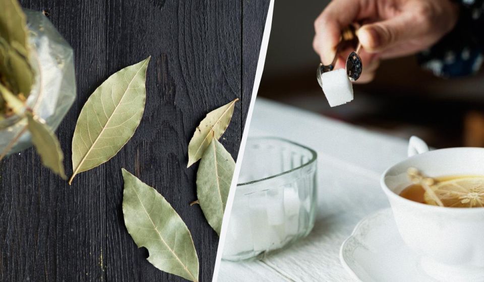 �������� ���� � ���������: ��������� ������ ��������� �������