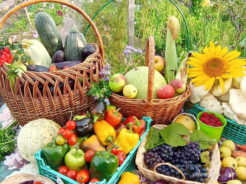 ��� ��������� �������� ���� �� ����: ����������� �����, ����������� ��������