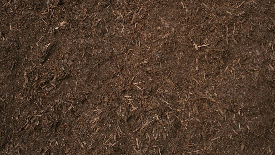 ��� ��������� ���������� �� �������: ������� ������� ������ ��������� �����