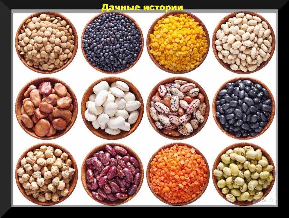 ��� ������������ ������ ������� ����� ������� ��� ����������� � �������� ������