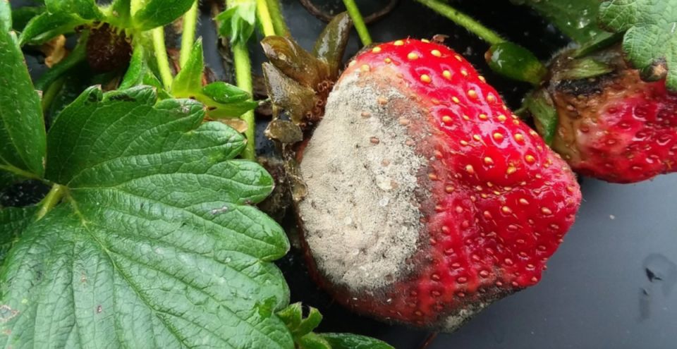 ��� ������ �������� �� ����� ����� �� ��� � ��������� ������