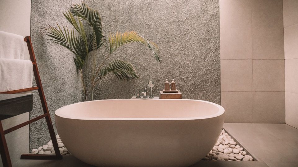 �������� ���� ���������� �����: �������� �������� ������� ������ ����� �� ������