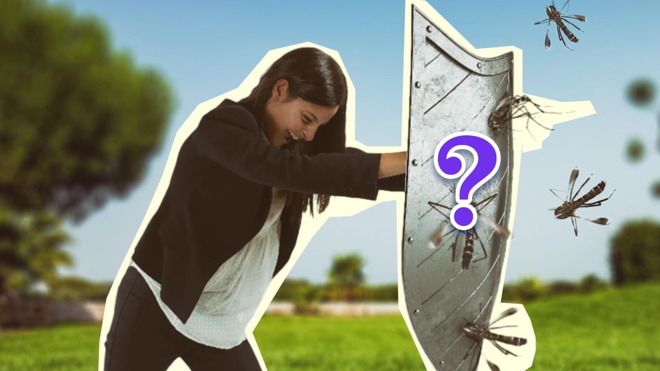 ������ ����� �������� ��� ��������: ���� �������� ���������� ������� ���������