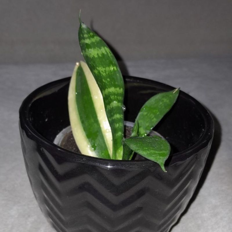 ��� ������� ������������� �������� ��� ���� � �� ������ ������