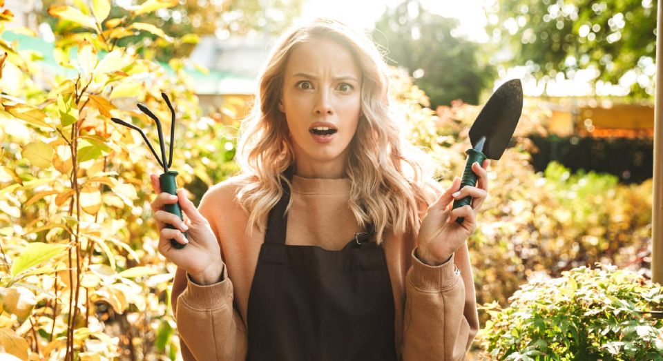 ��� ��� �������� ����� ��������� ������: �� ������� �� ������� �� ��� ����� ���������