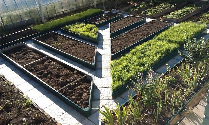 Как правильно спланировать участок: секреты размещения грядок и тропинок