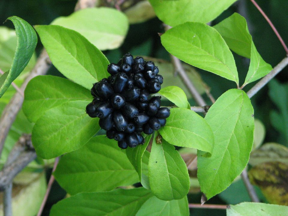 ������������ ���������������