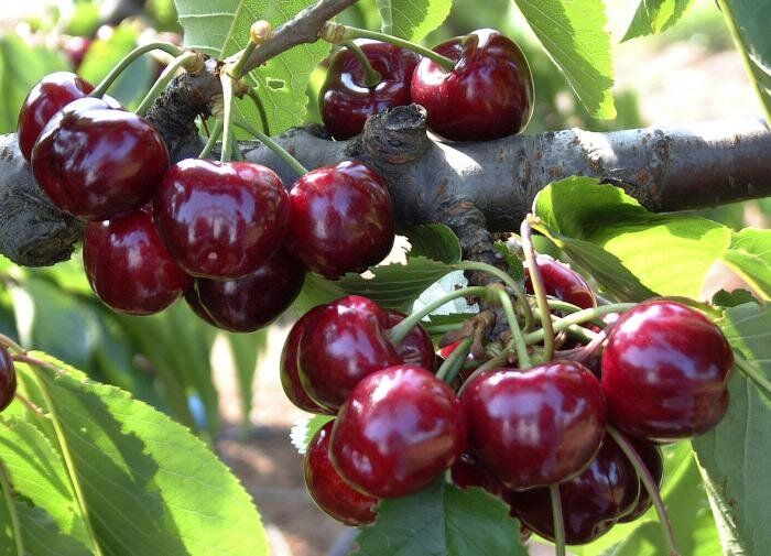 ��� �������� ������� �� ��������� ���������