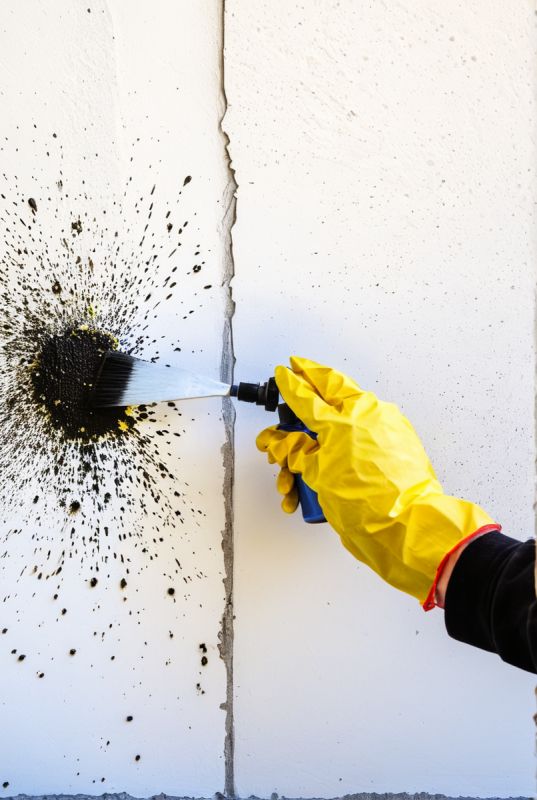 Справляемся с черной плесенью: как выбрать средство и правильно его использовать