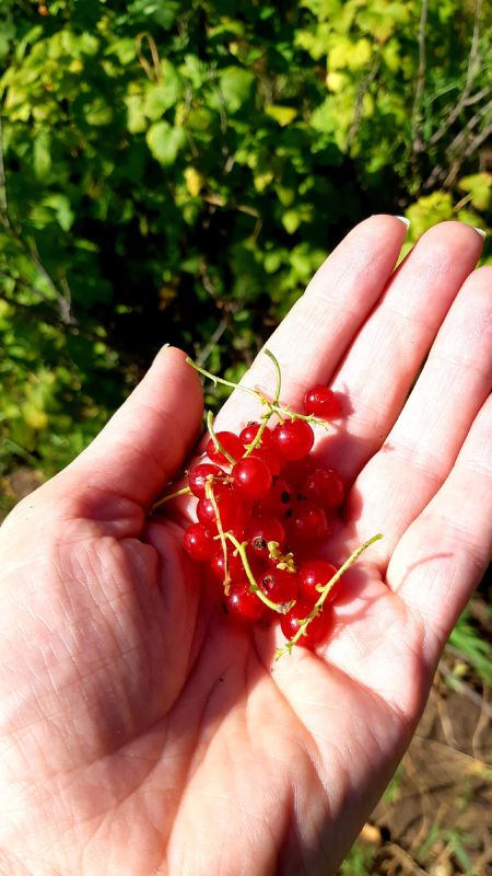 ��� ��������� ������� ����� ������� ���������: ������� ��������� ������