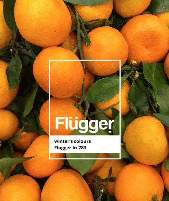 ����������� ����� ������: ������� ��� � �������