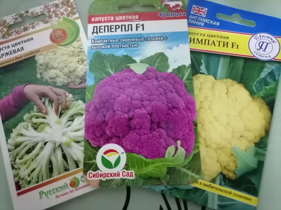 ���� ����� ���� � ������������ ������� ������� ������ ���������� � �������