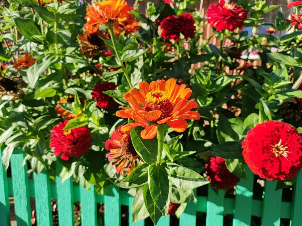 9 ������� ������, ������� ��������� ���������� ���� ���� � �������� ���