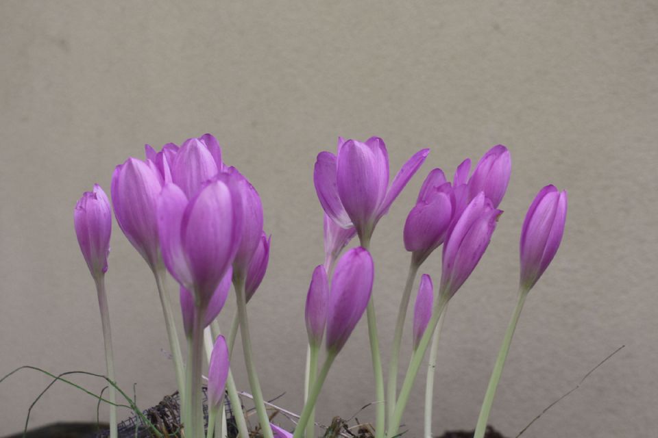 ��� ������������� ������ ����� ���� � ��� � ���� �� ���