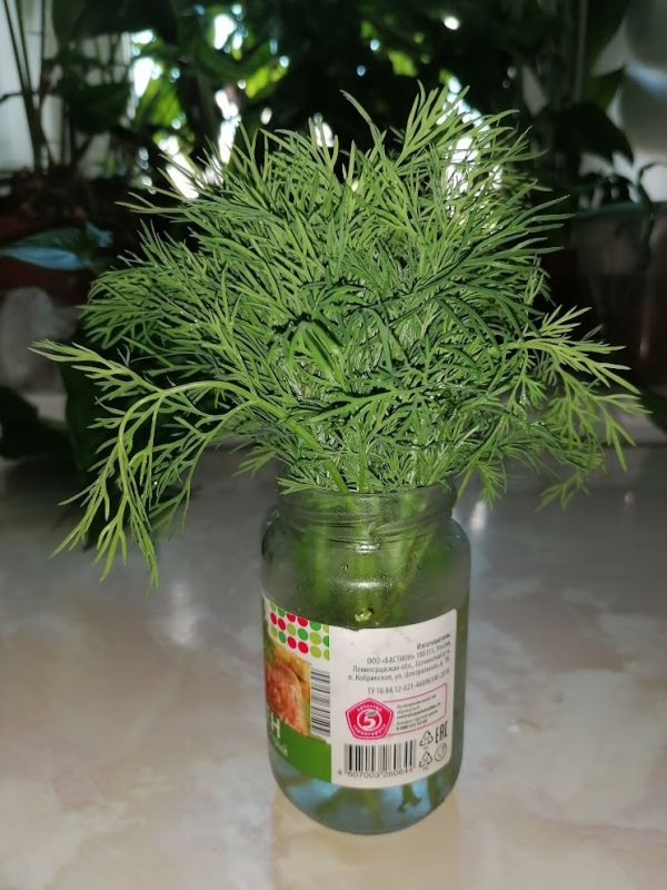 ��� ��������� �������� ���������: ������� ������ � ���������������� ������