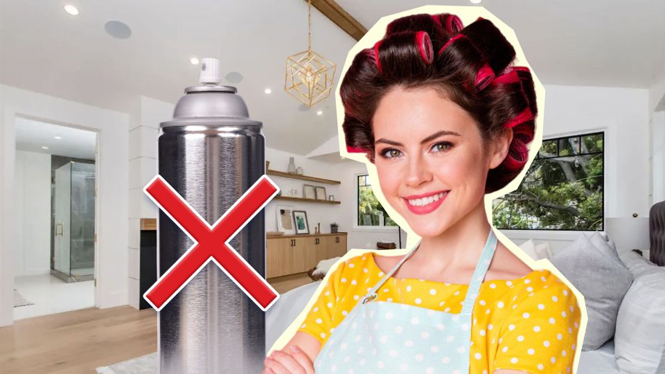 ���� ������ ����� �������� ������: �������� ���������� ���� �� �����������