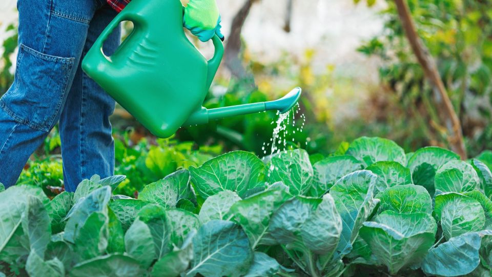 ��������� ���������� � ��������� ������ �� ���� �����: ���������� ������ ��� ���