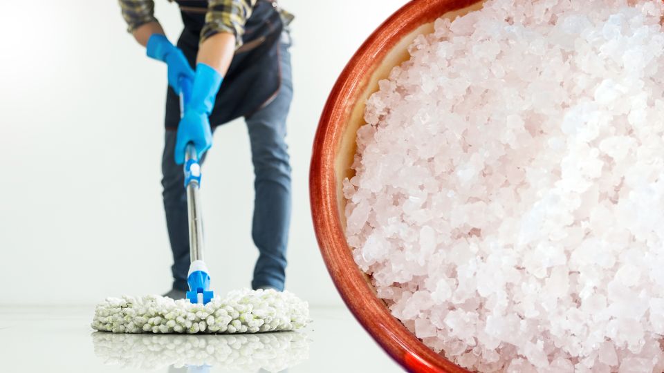 ��� �� ������� ���������� ���� ������� ��������� ����-������ � ����: ��������� �� ���� ��������