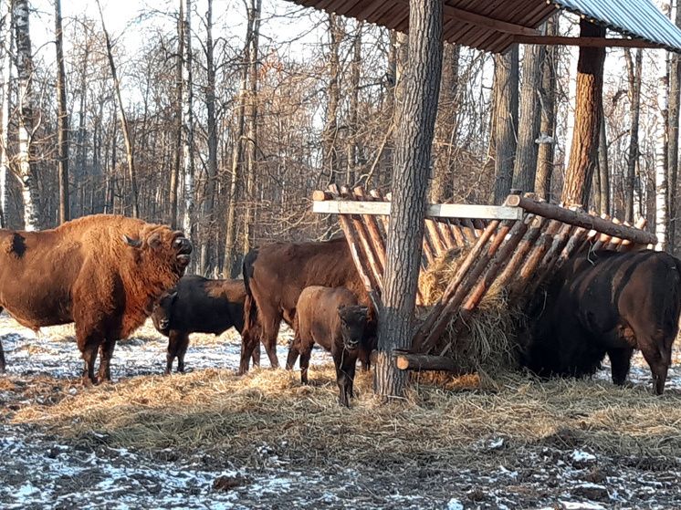 ������������ ������ ��������� ������������ � ���������� � ����