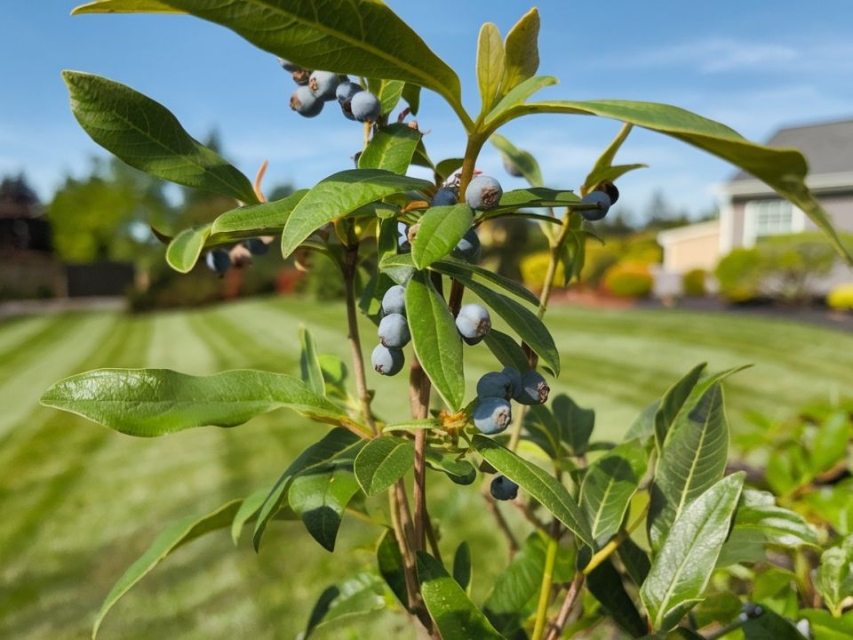 ��� ��������� ���������� ���������: ������� �� ������� ���������