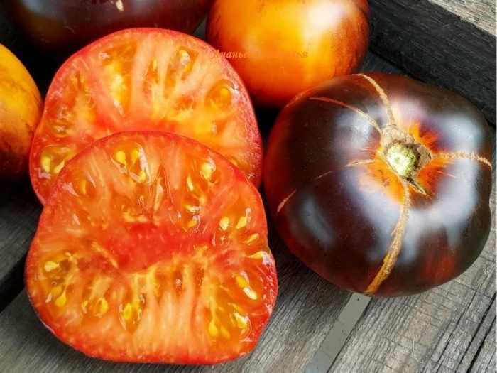 ����� ����� �����: ��� ������������ ������� ������ ������� �����������