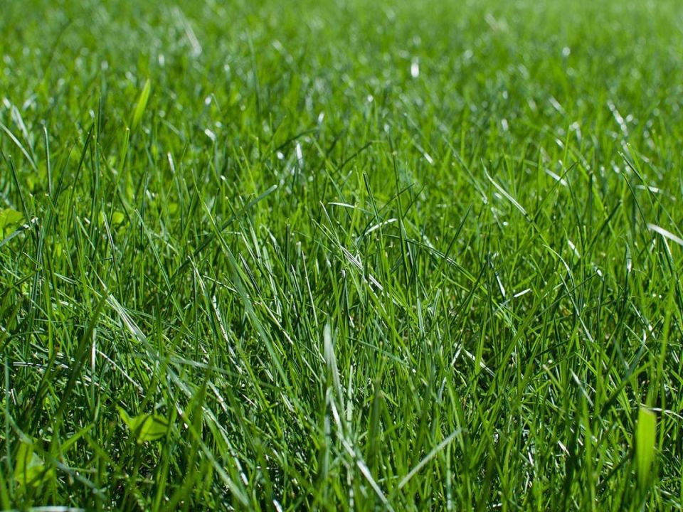 ����������� �������: ����� ���������� ����� ��� ����������� ������������� � ������ � ���������