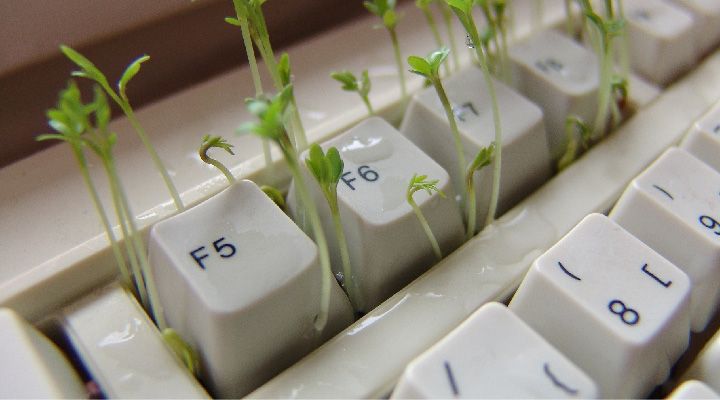 ����������� ������� ������� ����������: ��������� ���� ������� � ��������� ���������