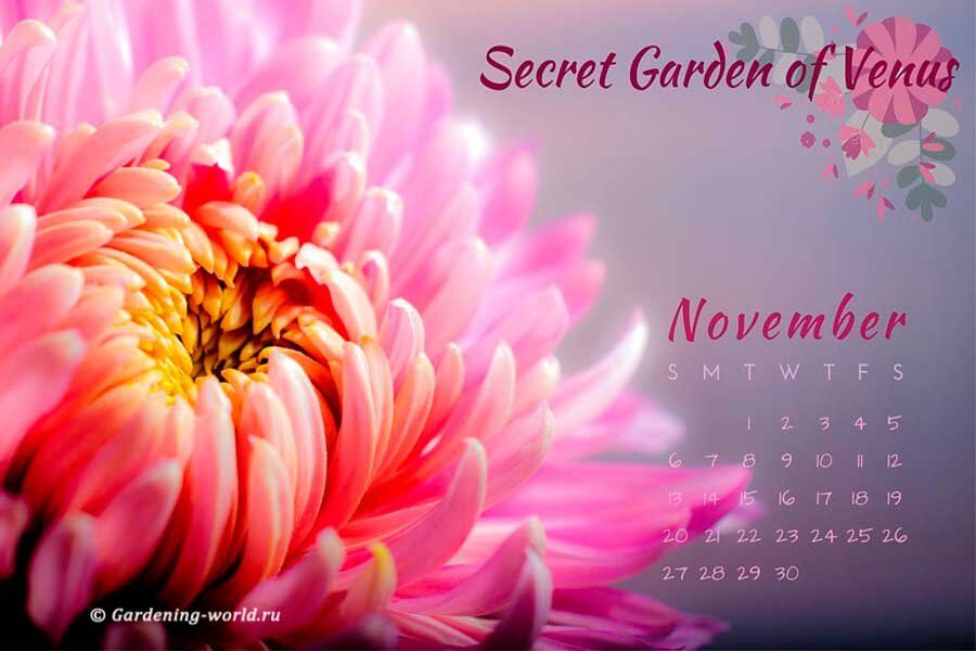 ����� ������ � �����������: ��������� ����� ��� ����������� ������ ������ � �����