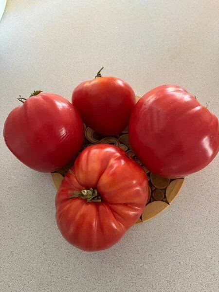 ����� �������������� ���: ��� ��������� ���������� ������ � �������� ������ ����