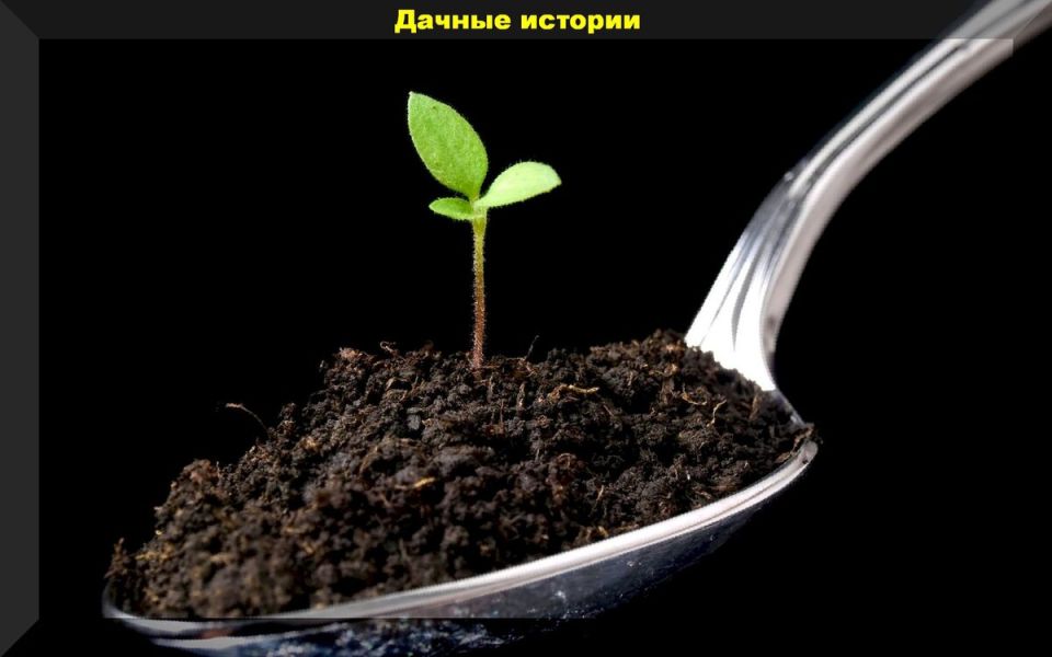 Уникальный способ создания биогумуса, который стоит попробовать садоводам