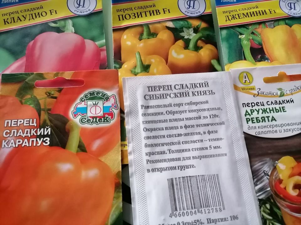 ������� �����: ��� ���������� ��� � ���� ������