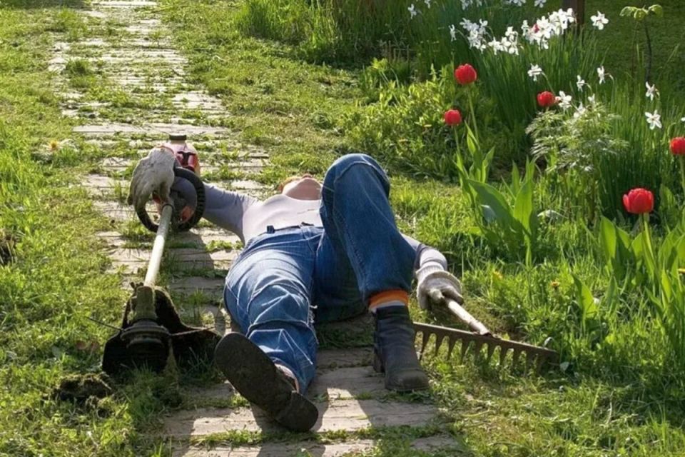 Как сохранить радость от огорода и избежать выгорания