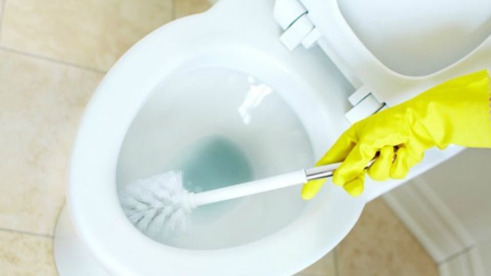 ����������� ������ ����� �� �����������: ������� ������ ��� ��������� �������