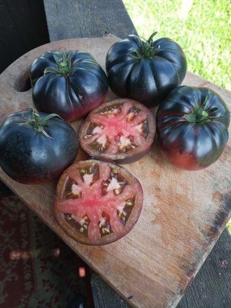 ����� ������ ���������: ������� ������������� ����� � �������