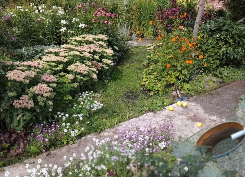 ��� ������������� ���� ����� ����� ������ �� ����?