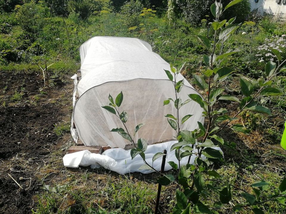 ��� �������� ��� �� ������������� ������: �������� ������ �� �����