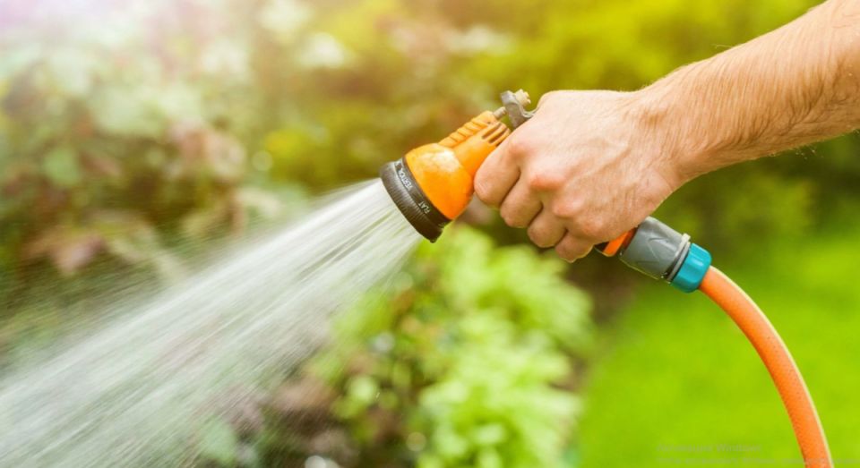 Как спасти сад от жары: 8 секретов эффективного полива