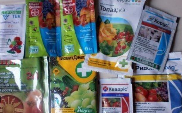 ��� �������� ������, �����, ���� � ������ ��������� ���������?