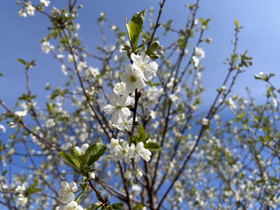 ��� ���������� � �������� ������: ������� ��� ��� ��� ������ ����